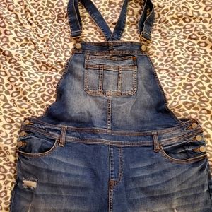 TORRID brand full length overalls! Size 16